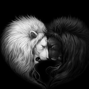 Meet your Posher, Donovan